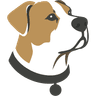 Scout